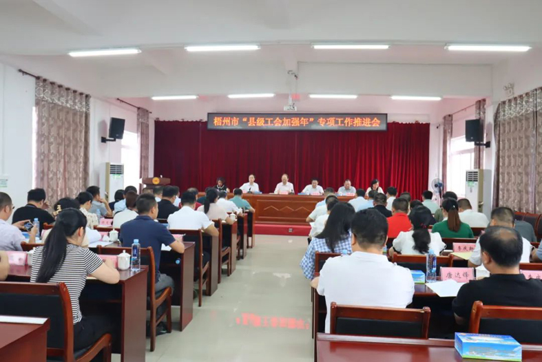 梧州市召開“縣級(jí)工會(huì)加強(qiáng)年”專項(xiàng)工作推進(jìn)會(huì)