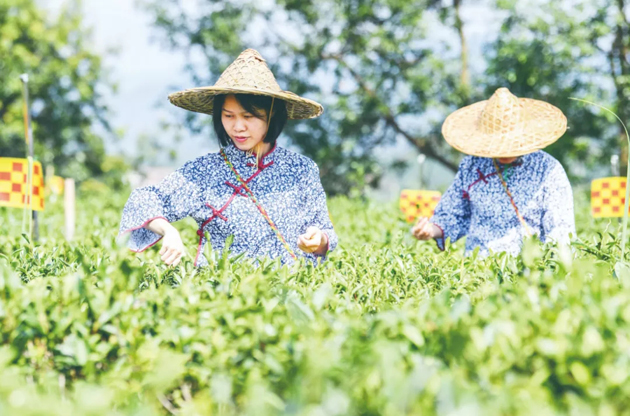 國(guó)家批復(fù)同意，梧州籌建！