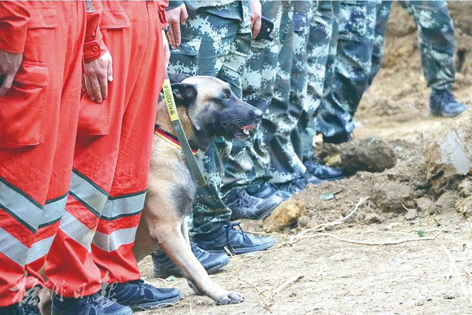 消防、武警、摩托車運輸隊等多方力量聯(lián)合搜救｜東航客機墜毀事故救援現(xiàn)場直擊