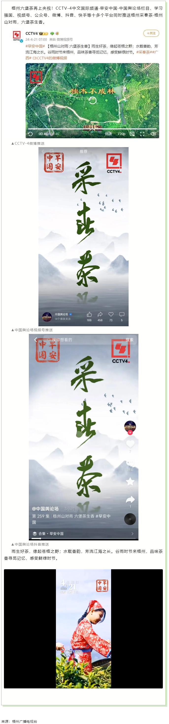 央視、學習強國等十多個平臺同時推送梧州采春茶&middot;梧州六堡茶.png