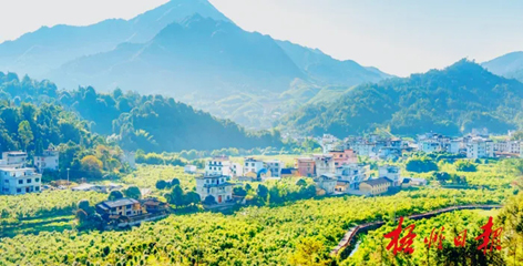 排名全國第13名！“梧州六堡茶”品牌價值實(shí)現(xiàn)新突破