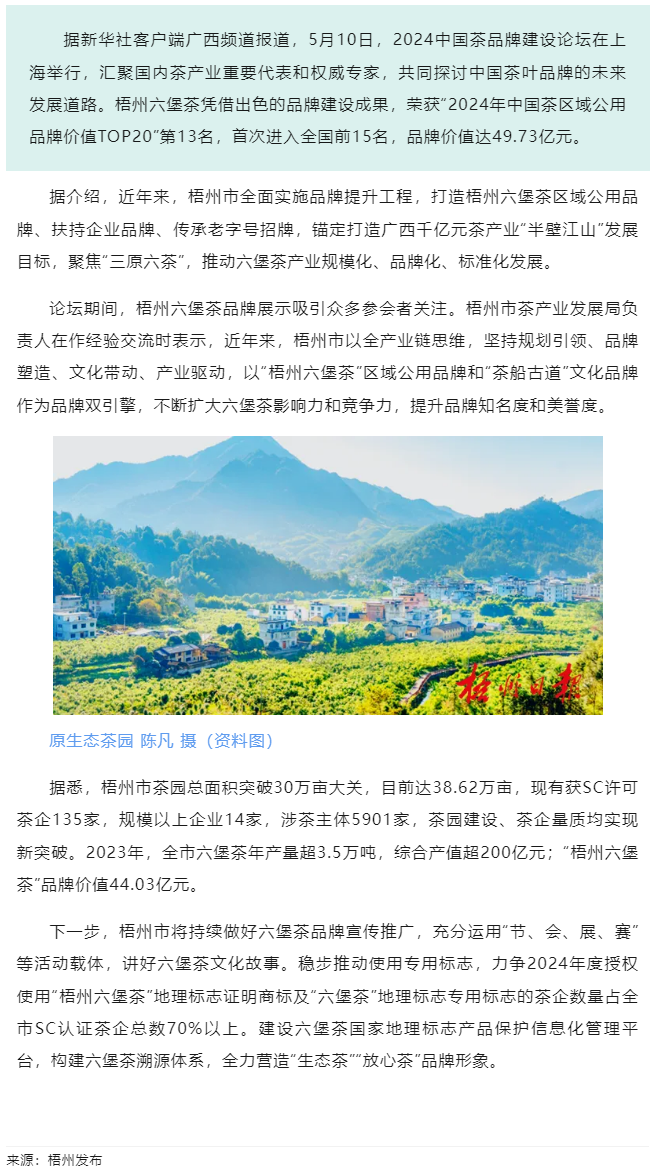 排名全國第13名！&ldquo;梧州六堡茶&rdquo;品牌價值實現(xiàn)新突破.png