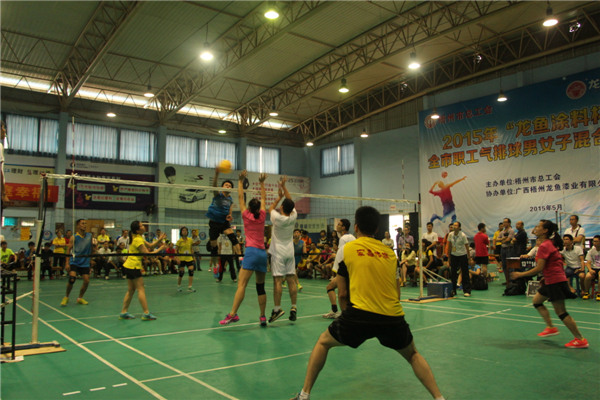 市總工會(huì)舉辦2015年“龍魚(yú)涂料杯”全市職工氣排球男女子混合比賽